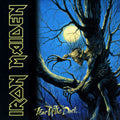 Iron Maiden: Fear Of The Dark ( Vinyl )