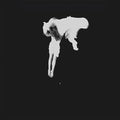 Kaleida: Tear The Roots ( Vinyl )