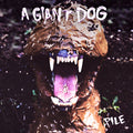 Giant Dog: Pile ( Vinyl )