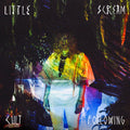 Little Scream: Cult Following ( Vinyl )