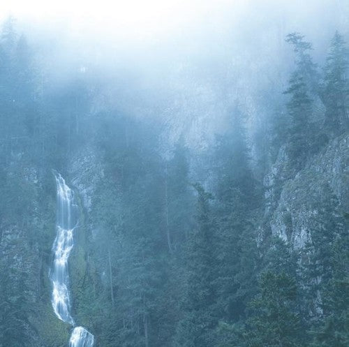 Wolves in the Throne Room: Diadem Of 12 Stars ( Vinyl )
