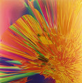 JMSN: It Is ( Vinyl )
