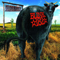Blink 182: Dude Ranch ( Vinyl )