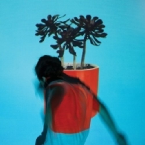 Local Natives: Sunlit Youth ( Vinyl )