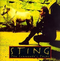 Sting: Ten Summoner's Tales ( Vinyl )