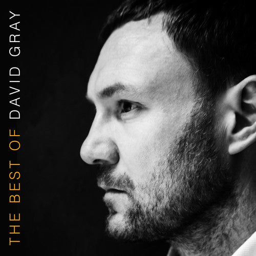 David Gray: The Best Of David Gray ( Vinyl )