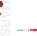 Thirty Seconds to Mars: A Beautiful Lie ( Vinyl )
