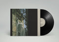 Dead Can Dance: Within The Realm Of A Dying Sun ( Vinyl )