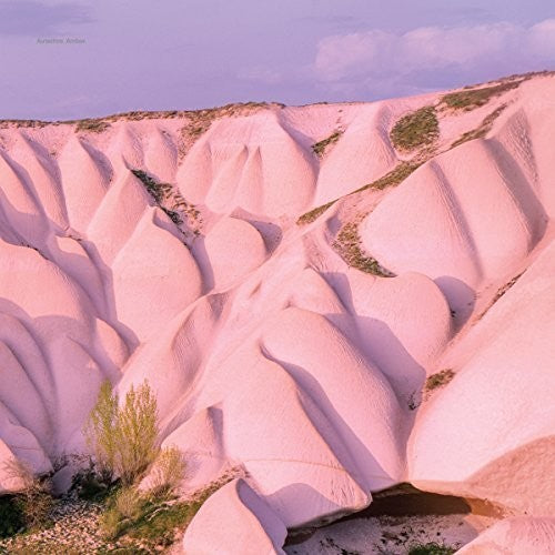 Autechre: Amber ( Vinyl )