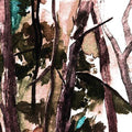 Hop Along: Bark Your Head Off Dog ( Vinyl )