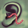 Thee Oh Sees: An Odd Entrances ( Vinyl )