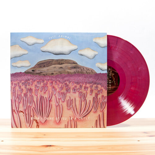 Post Animal: When I Think Of You In A Castle ( ( Vinyl )