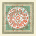 Trampled by Turtles: Life Is Good On The Open Road ( Vinyl )