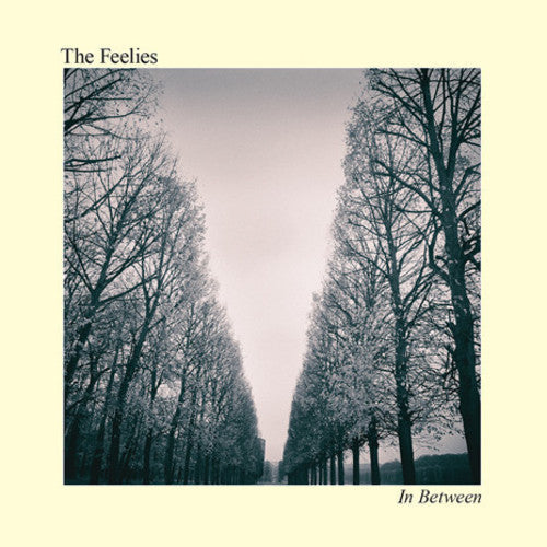 The Feelies: In Between ( Vinyl )