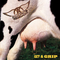 Aerosmith: Get A Grip ( Vinyl )