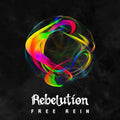 Rebelution: Free Rein ( Vinyl )