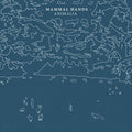 Mammal Hands: Animalia ( Vinyl )