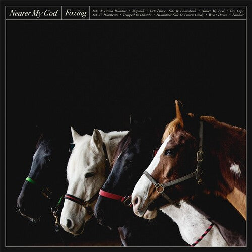 Foxing: Nearer My God ( Vinyl )