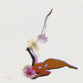 Future Islands: The Far Field ( Vinyl )
