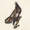 Clutch: Book Of Bad Decisions ( Vinyl )