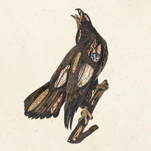 Clutch: Book Of Bad Decisions ( Vinyl )