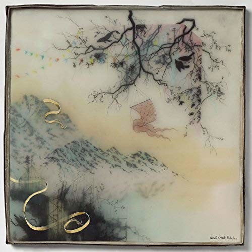 Novo Amor: Birthplace ( Vinyl )