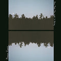 Maggie Rogers: Now That The Light Is Fading ( Vinyl )