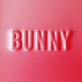 Matthew Dear: Bunny ( Vinyl )