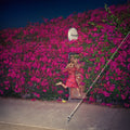 Feist: Pleasure ( Vinyl )