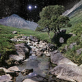 The Beta Band: The Beta Band ( Vinyl )