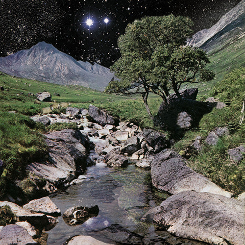 The Beta Band: The Beta Band ( Vinyl )