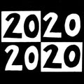 Molly Nilsson: Twenty Twenty ( Vinyl )