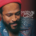 Marvin Gaye: Collected ( Vinyl )