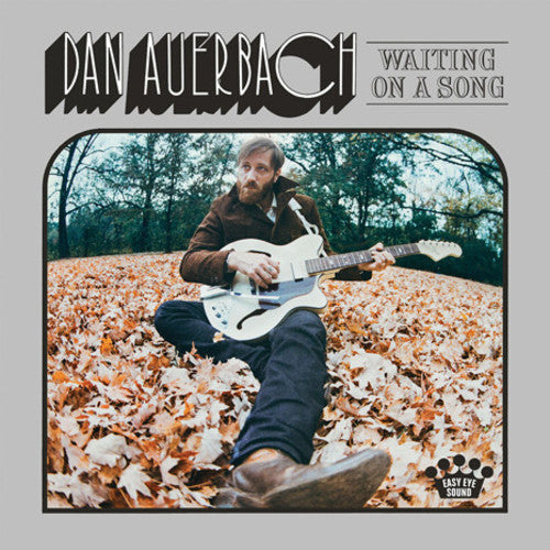 Dan Auerbach: Waiting on a Song ( Vinyl )