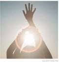 Alcest: Shelter ( Vinyl )