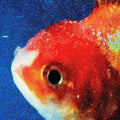 Vince Staples: Big Fish Theory ( Vinyl )