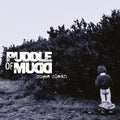 Puddle of Mudd: Come Clean ( Vinyl )