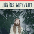 Junius Meyvant: Across The Borders ( Vinyl )