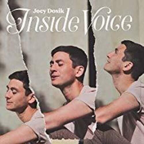 Joey Dosik: INSIDE VOICE ( Vinyl )