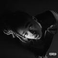 Little Simz: Grey Area ( Vinyl )