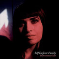 Self Defense Family: Performative Guilt ( Vinyl )
