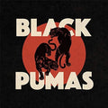 Black Pumas: Black Pumas ( Vinyl )