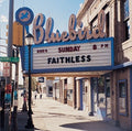 Faithless: Sunday 8PM ( Vinyl )
