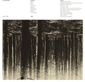 Low Flying Hawks: Genkaku ( Vinyl )