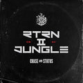 Chase & Status: Rtrn II Jungle ( Vinyl )