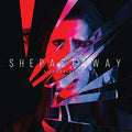 She Past Away: Disko Anksiyete ( Vinyl )