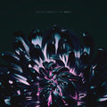 The Contortionist: Our Bones ( Vinyl )
