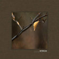 Sync24: Comfortable Void ( Vinyl )