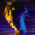 The Pains of Being Pure at Heart: The Echo Of Pleasure ( Vinyl )