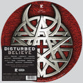 Disturbed: Believe ( Vinyl )